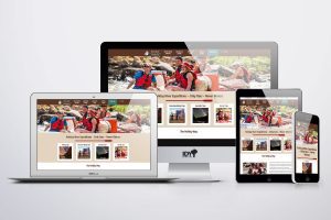 IDY Responsive Website Development