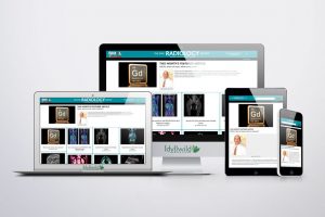 IDY Responsive Website Development