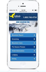 IDY Responsive Website Development